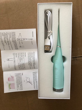 Electric Tooth Care Tool